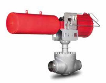 AMPO Poyam Valves