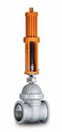 AMPO Poyam Valves